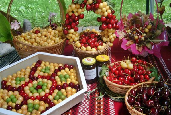 Bulgarian Cherry Festival