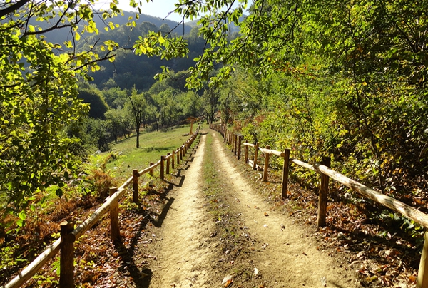 Красивите екопътеки на България